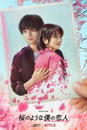 Love Like the Falling Petals's poster