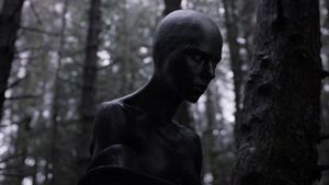 Under the Skin's poster