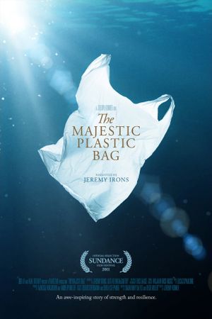 The Majestic Plastic Bag's poster