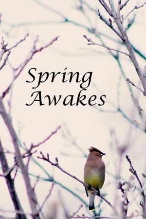 Spring Awakes's poster