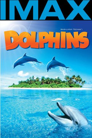 Dolphins's poster