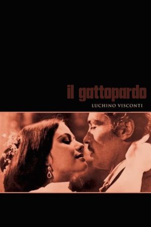 The Leopard's poster