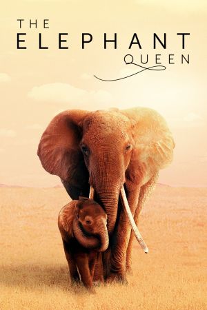 The Elephant Queen's poster