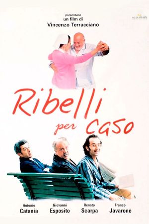 Ribelli per caso's poster