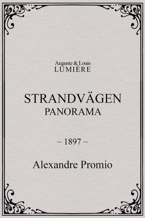 Strandvägen : panorama's poster