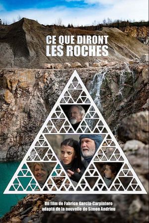 Ce que diront les roches's poster