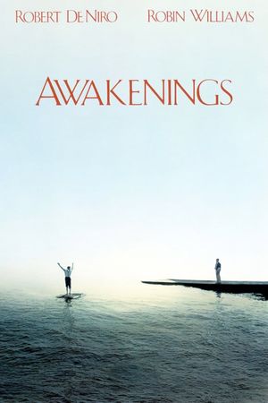 Awakenings's poster