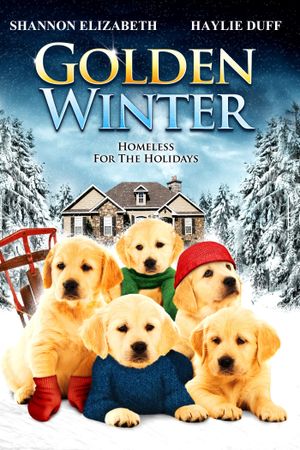 Golden Winter's poster
