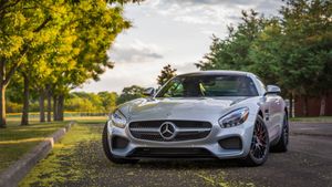 Das Auto: The Germans, Their Cars and Us's poster