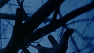 Anticipation of the Night's poster