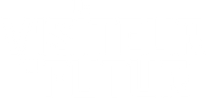 The Visitor from the Future's poster