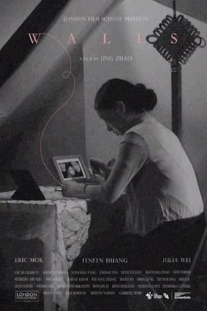 Walls's poster