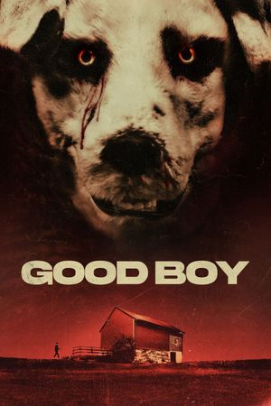 Good Boy's poster