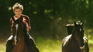 Out Stealing Horses's poster