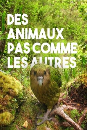 Des animaux pas comme les autres's poster