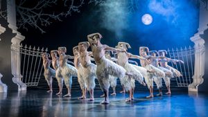 Matthew Bourne's Swan Lake's poster