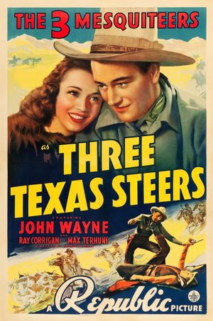 Three Texas Steers's poster