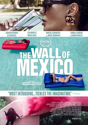 The Wall of Mexico's poster