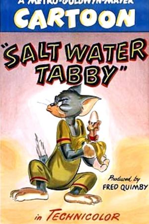 Salt Water Tabby's poster