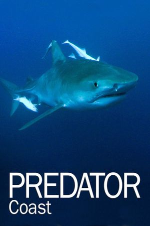 Predator Coast's poster