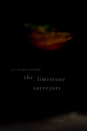 The Limestone Surveyors's poster image