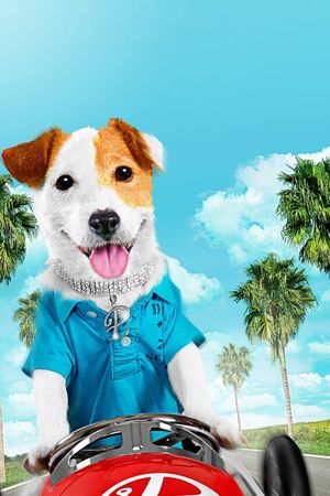 Millionaire Dog's poster
