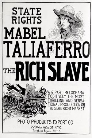 The Rich Slave's poster