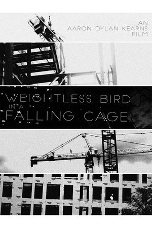 Weightless Bird In A Falling Cage's poster