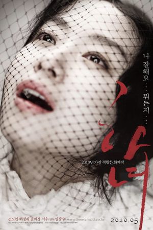 The Housemaid's poster