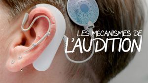 Les mécanismes de l’audition - Une ouïe très fine's poster