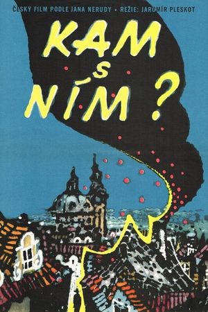 Kam s ním's poster