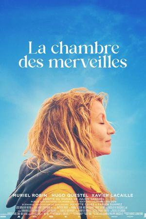 The Book of Wonders's poster