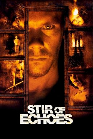 Stir of Echoes's poster