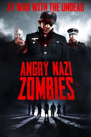 Angry Nazi Zombies's poster image