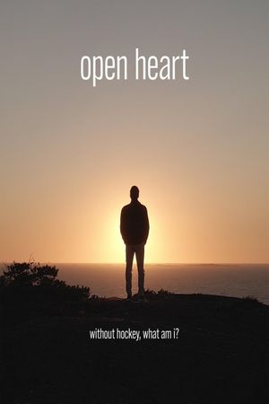 Open Heart's poster