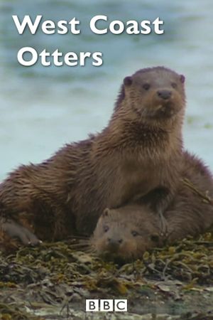 West Coast Otters's poster
