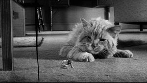 The Incredible Shrinking Man's poster