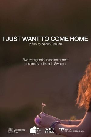 I Just Want to Come Home's poster