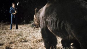 Grizzly's poster