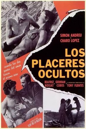 Hidden Pleasures's poster