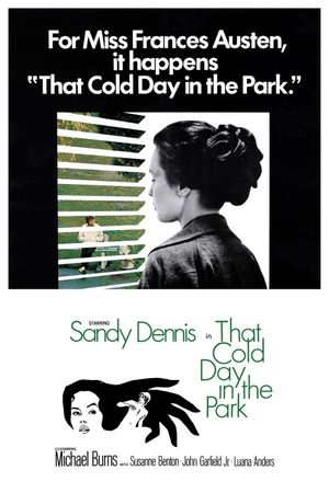 That Cold Day in the Park's poster