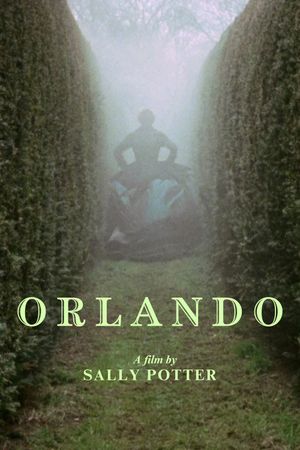 Orlando's poster