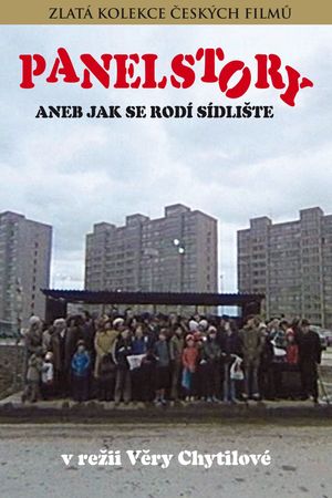 Panelstory or Birth of a Community's poster