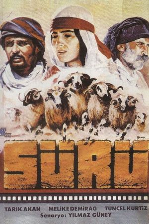 The Herd's poster