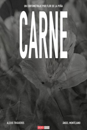 CARNE's poster