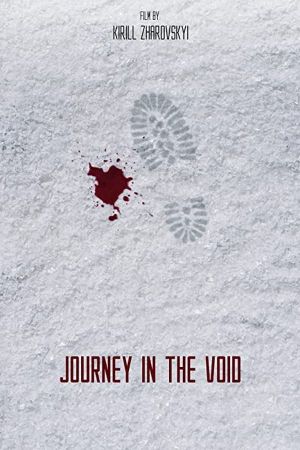 Journey in the Void's poster