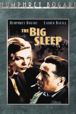 The Big Sleep's poster