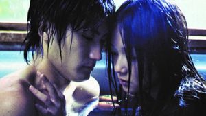 A Gap in the Skin's poster