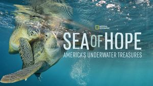 Sea of Hope: America's Underwater Treasures's poster