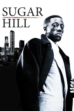 Sugar Hill's poster